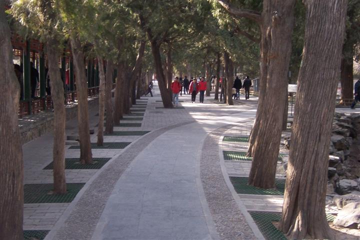 A pedestrian walkway constructed of poured concrete with good edge-definition provided using small stones set in a concrete border on each side of the walkway. The border provides both colour and texture contrast.